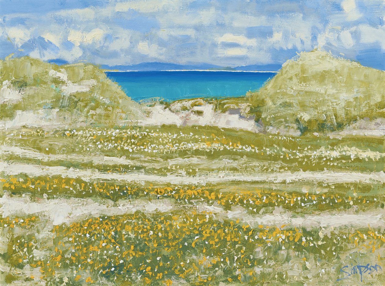 Glimpse of Harris, 2014 (olieverf op doek) door Charles Simpson