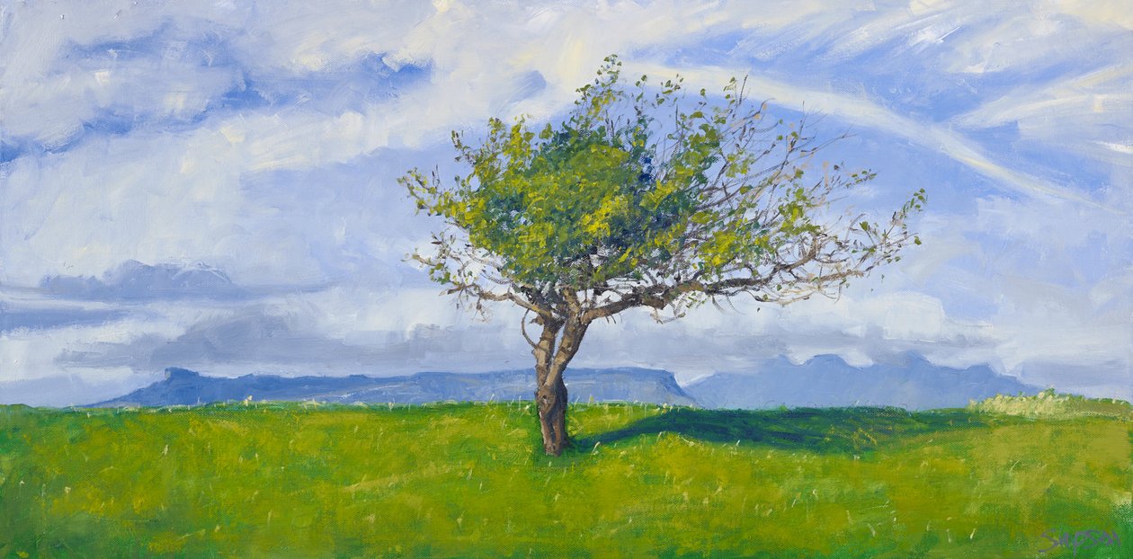 West Coast Tree, 2015 (olieverf op doek) door Charles Simpson
