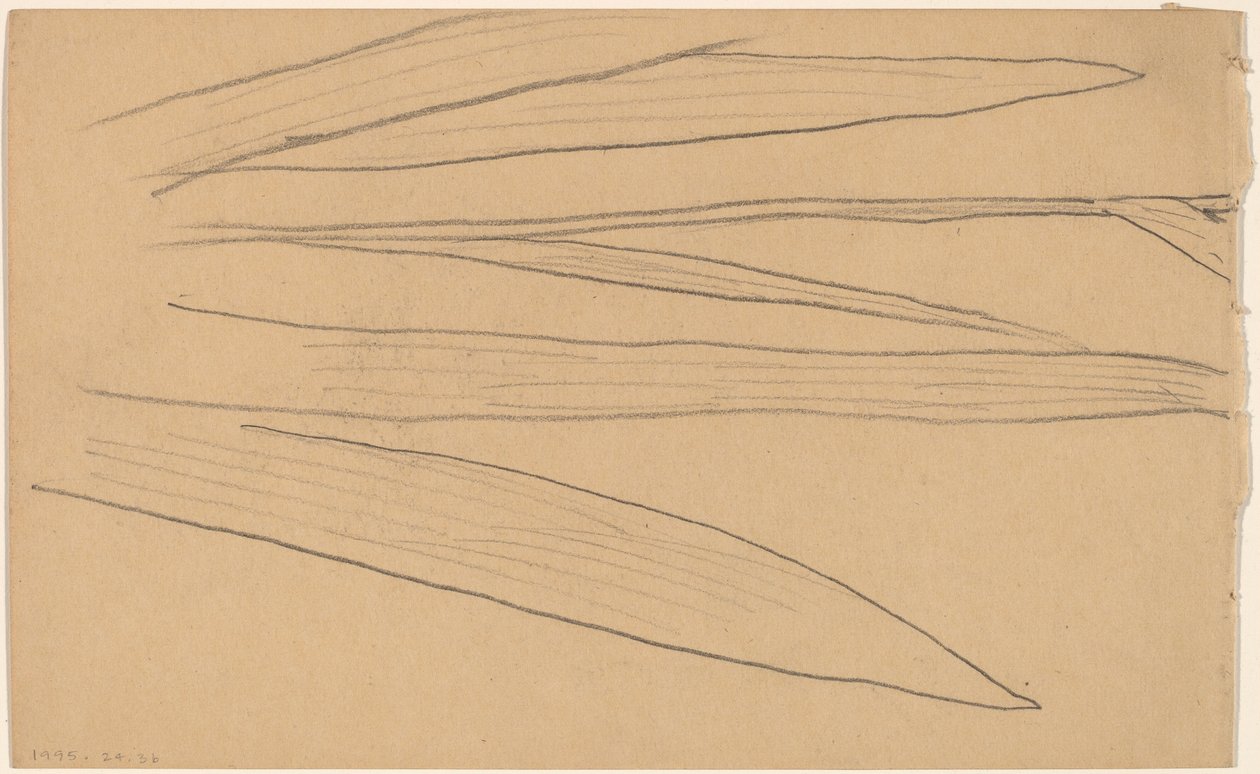 Studie van een Bloem (verso) door Charles Sprague Pearce