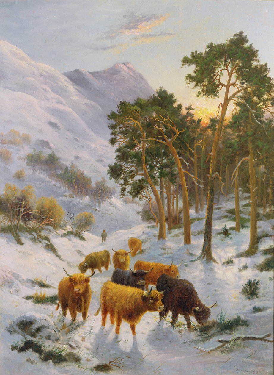 Hooglandvee in een Winterlandschap door Charles Watson