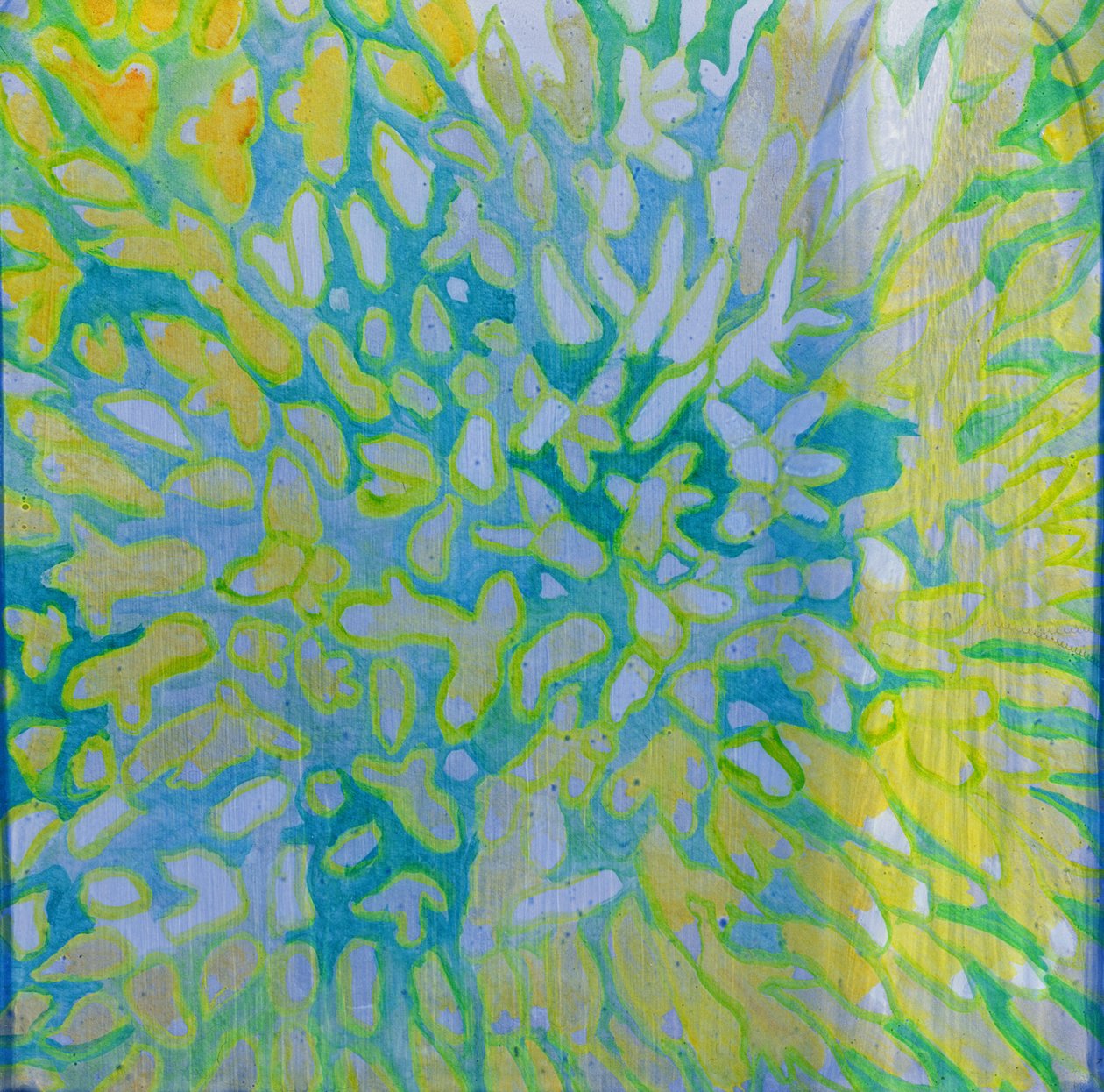 Acrapora, 2000 door Charlotte Johnstone