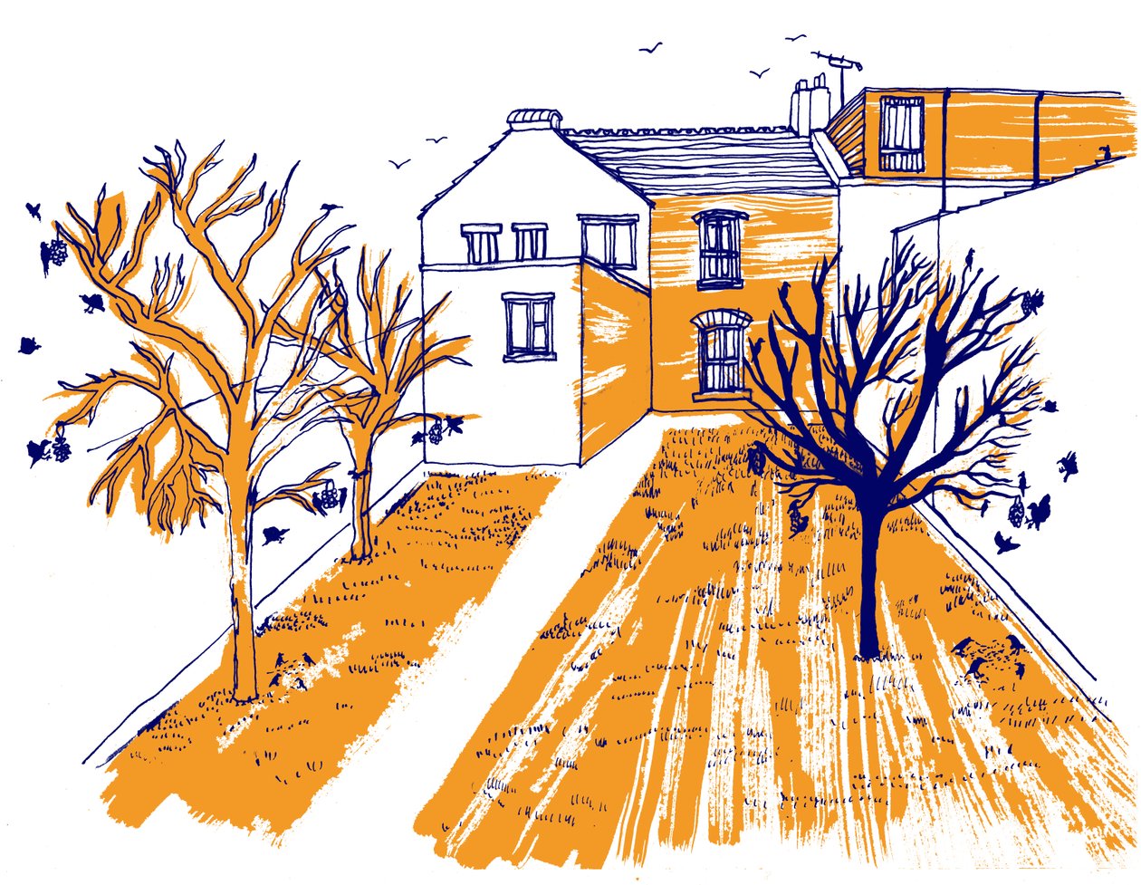 Tuin door Charlotte Orr