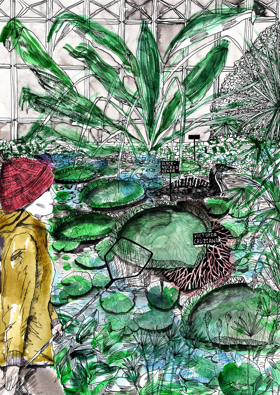 Oxford Botanische Tuin, 2020 door Charlotte Orr