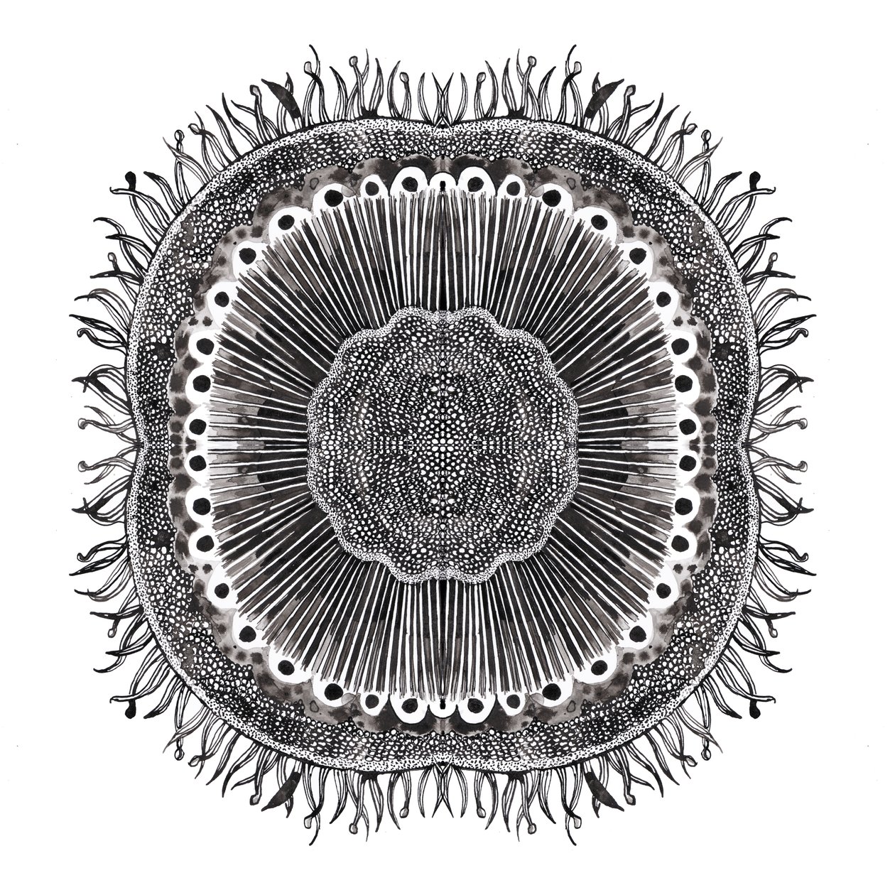 Plantencellen, 2019 door Charlotte Orr