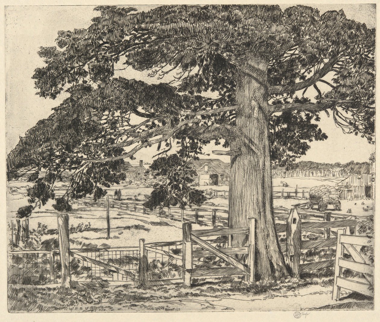 Grote Ceder, Wainscott, L. I., 1929 door Childe Hassam