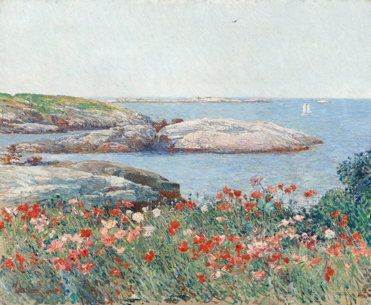 Klaprozen, Isles of Shoals door Childe Hassam