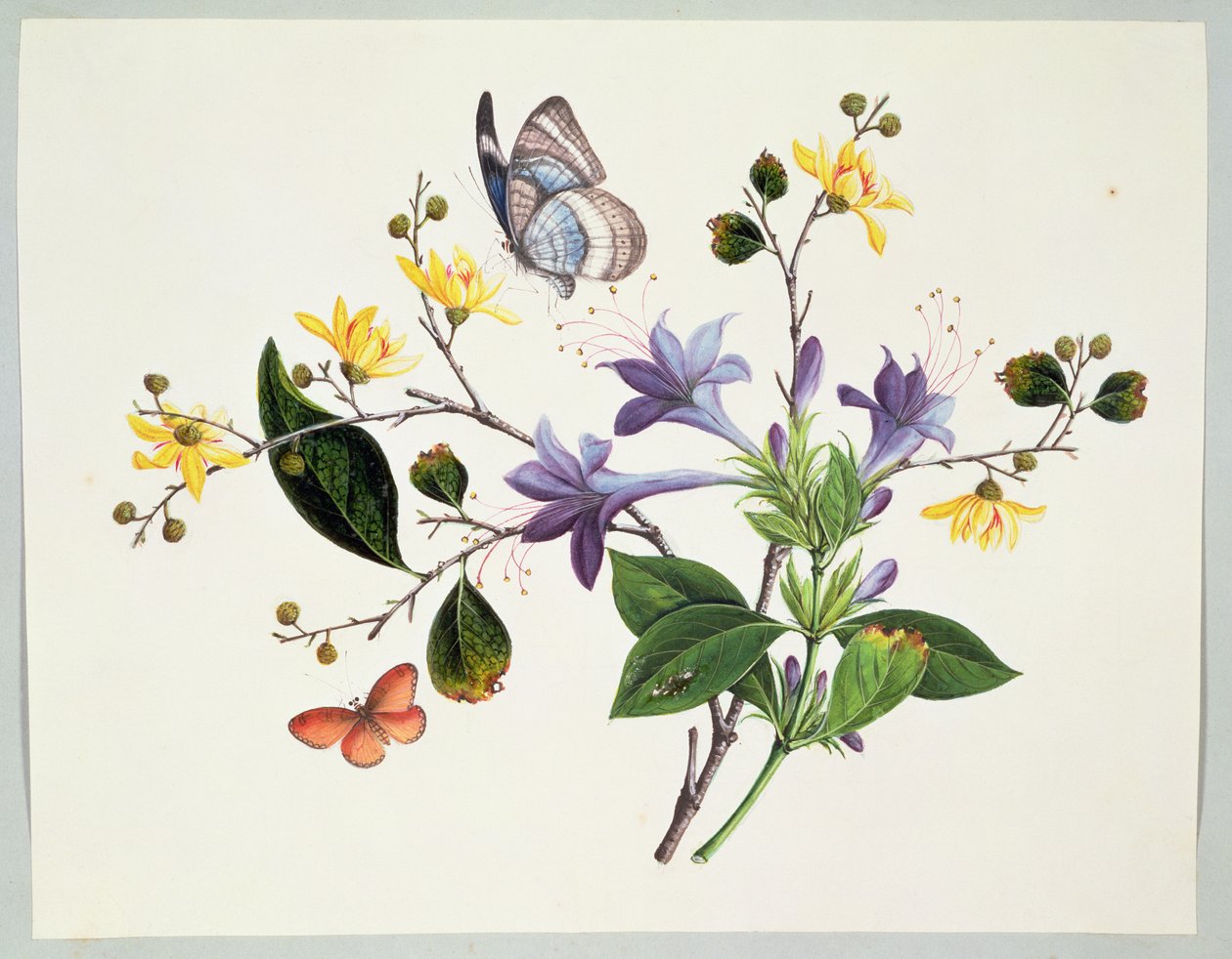 Bloemenstudie en insecten door Chinese School