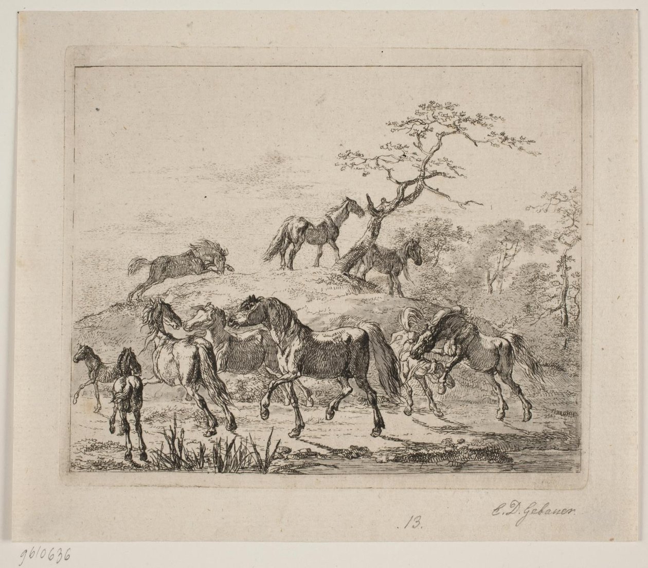 Stoeterijpaarden door Christian David Gebauer