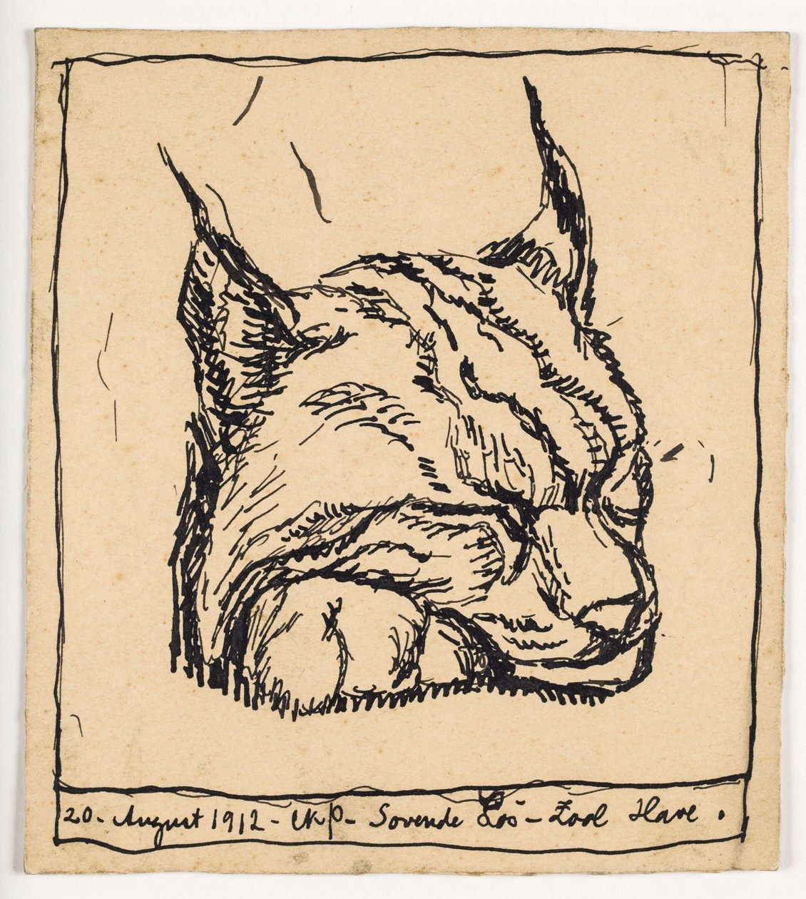 "Slapende lynx" door Christian Kongstad Petersen