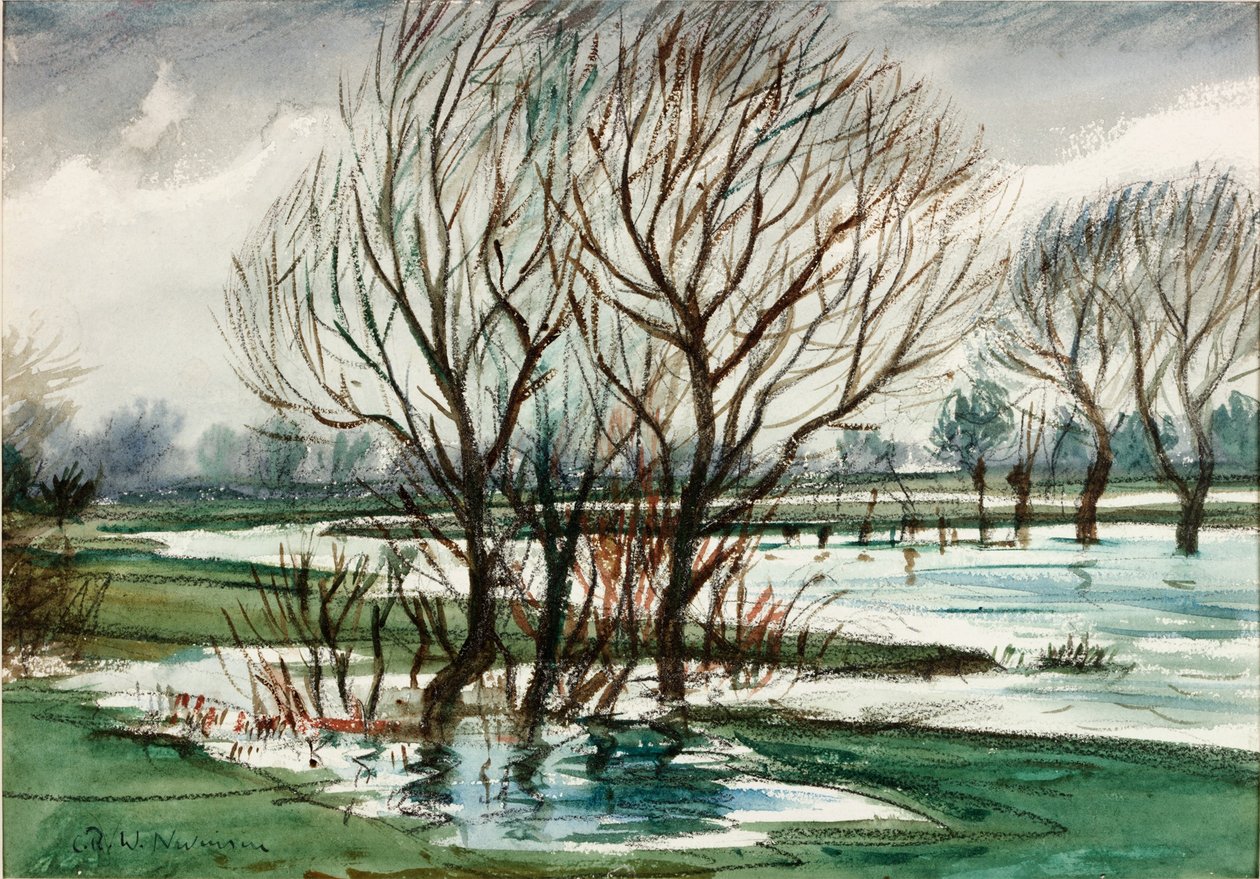 Wilgen door Christopher Richard Wynne Nevinson