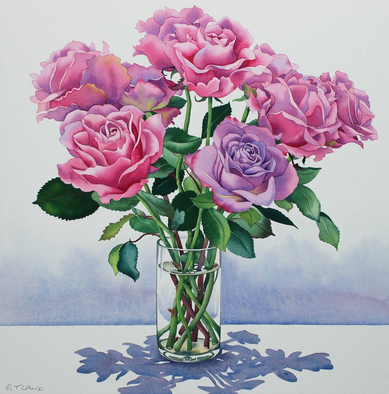 Lawine Rozen door Christopher Ryland