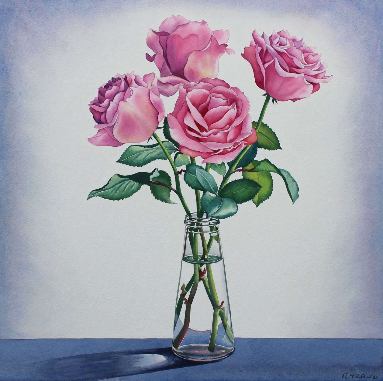 Roze Rozen door Christopher Ryland