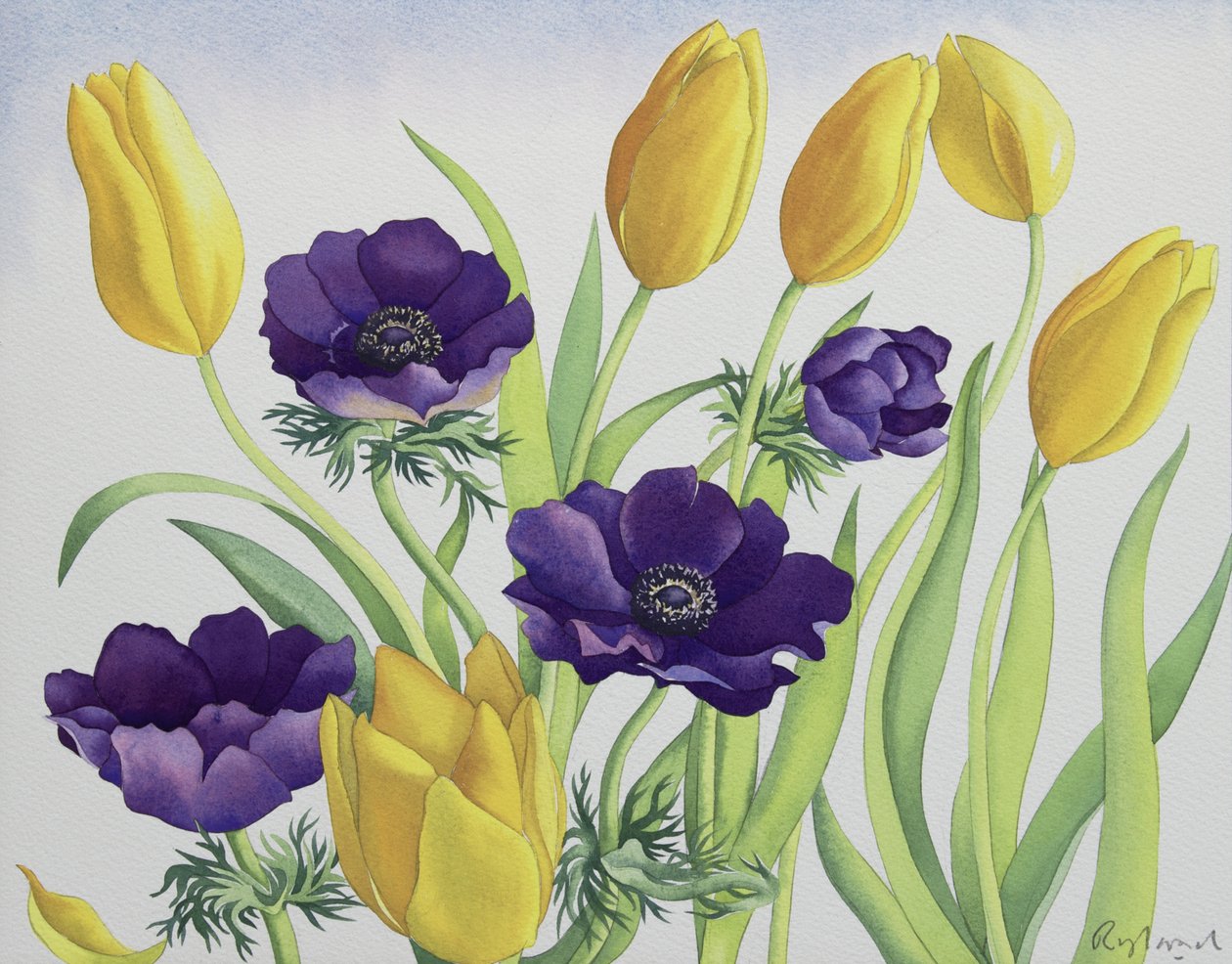 Tulpen en Anemonen door Christopher Ryland