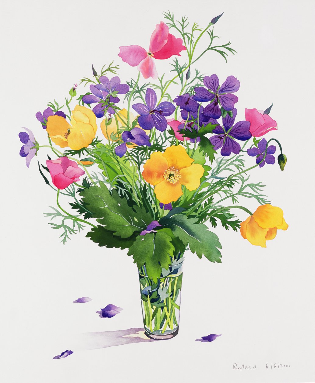 Klaprozen en geraniums door Christopher Ryland