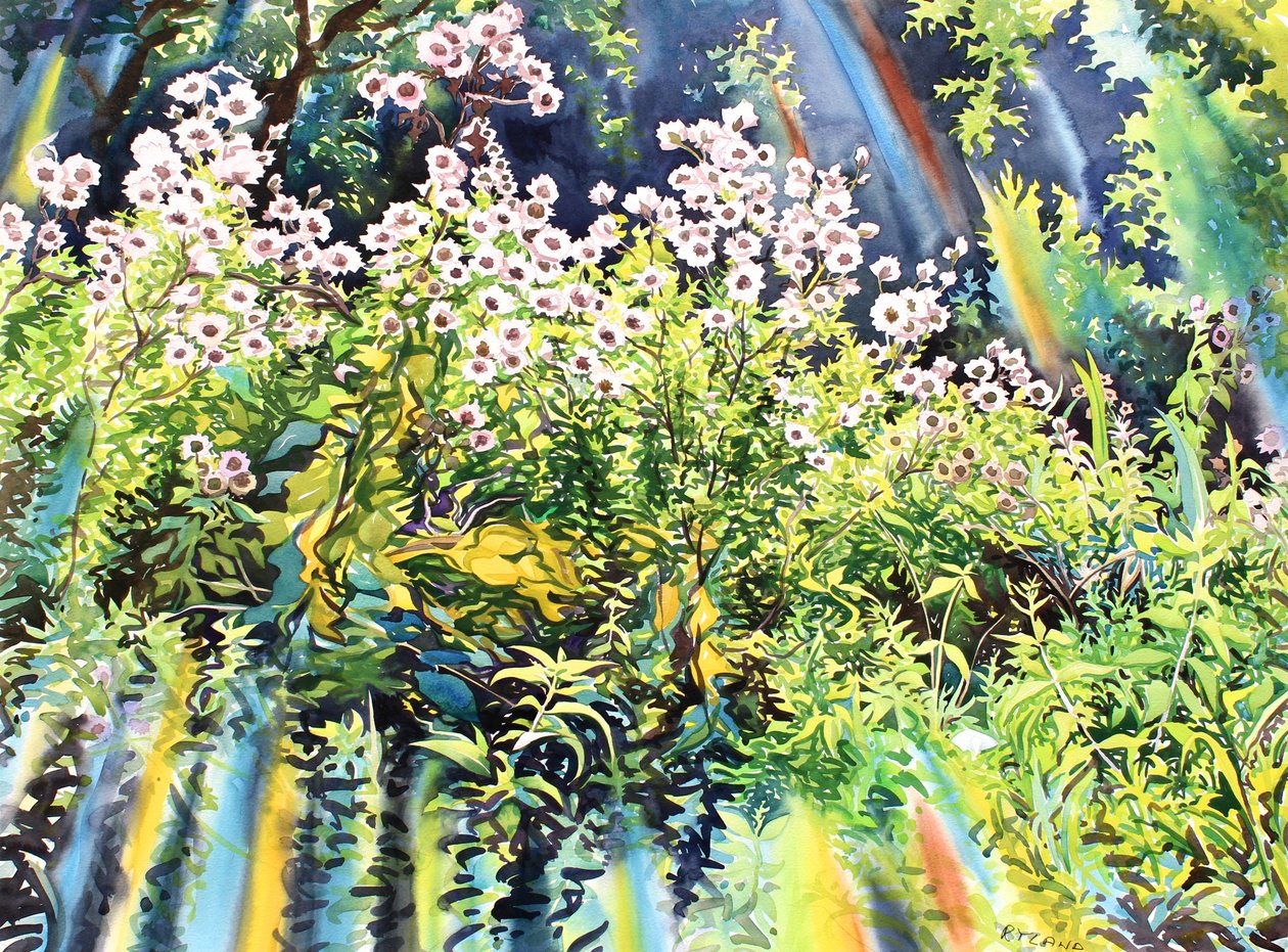 Distelpluis, 2016 door Christopher Ryland