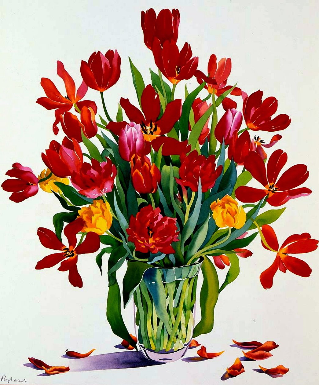 Tulpen door Christopher Ryland