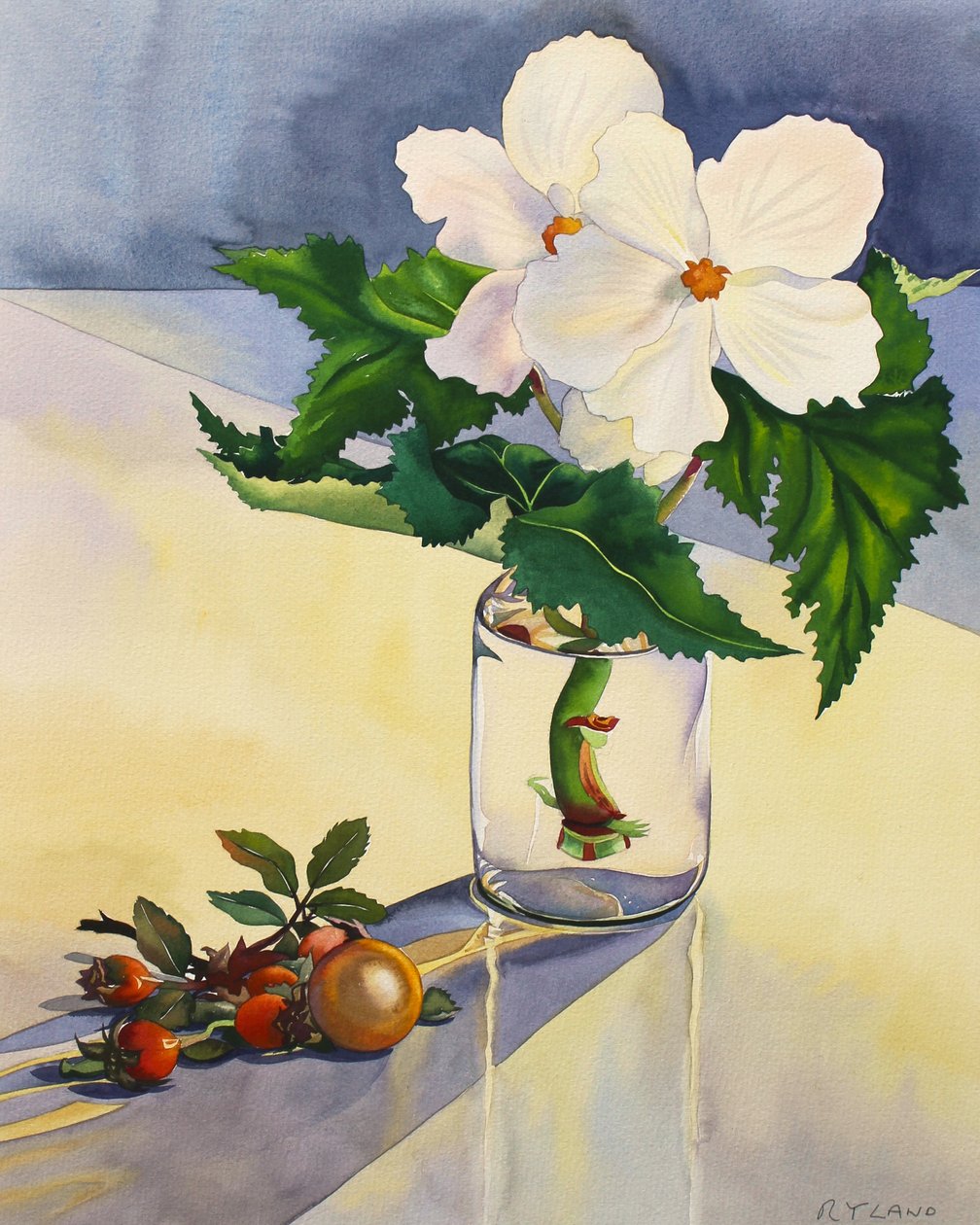 Witte Begonia en Rozenbottels door Christopher Ryland