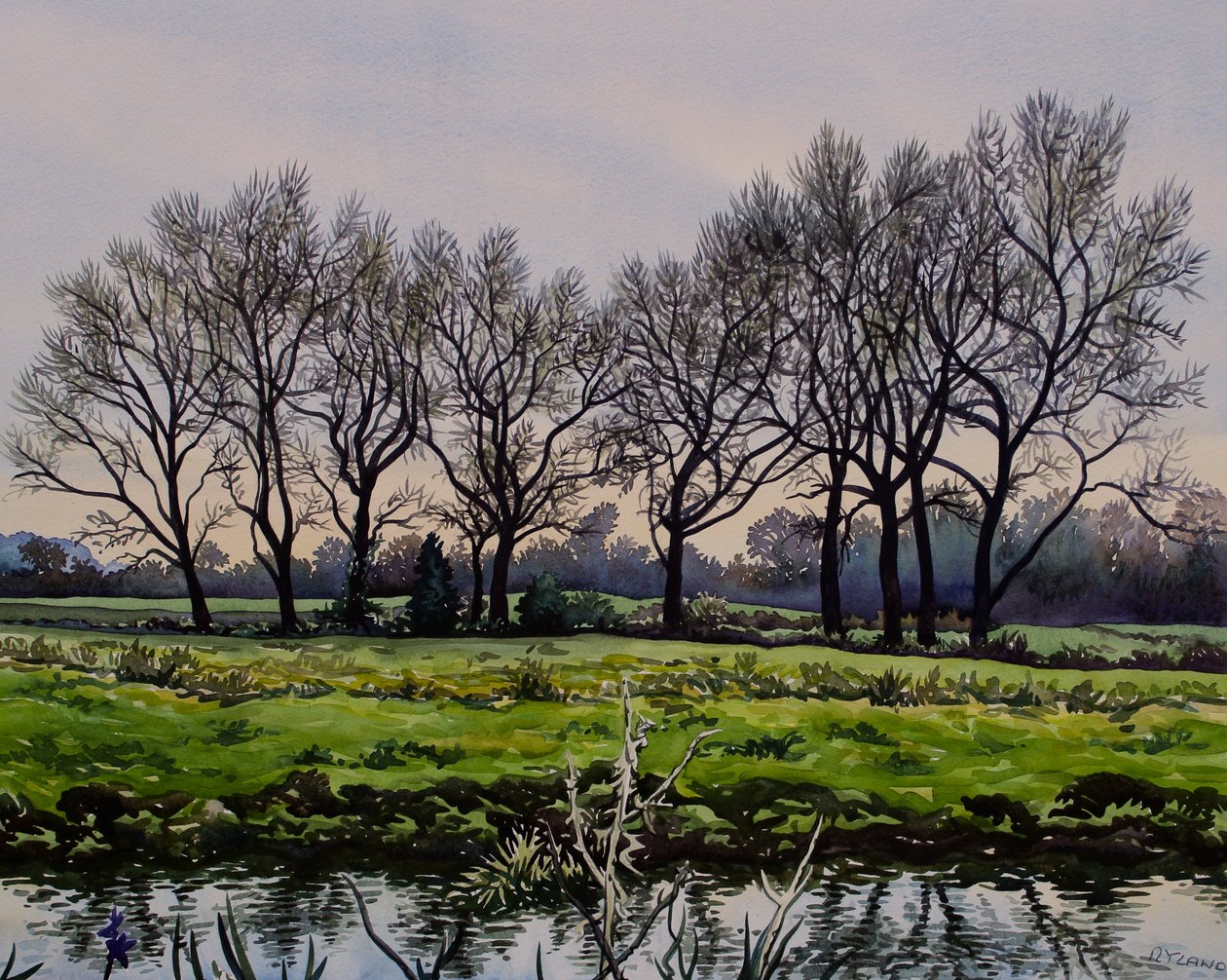 Winterbomen door Christopher Ryland