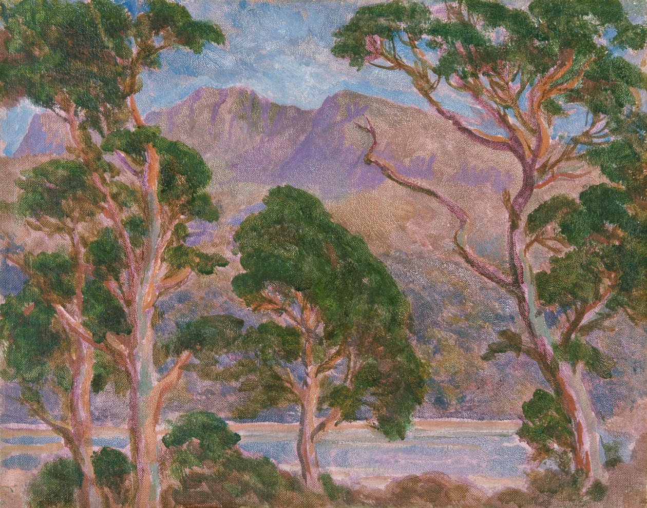 Cader Idris, 1893-1934 door Christopher Williams