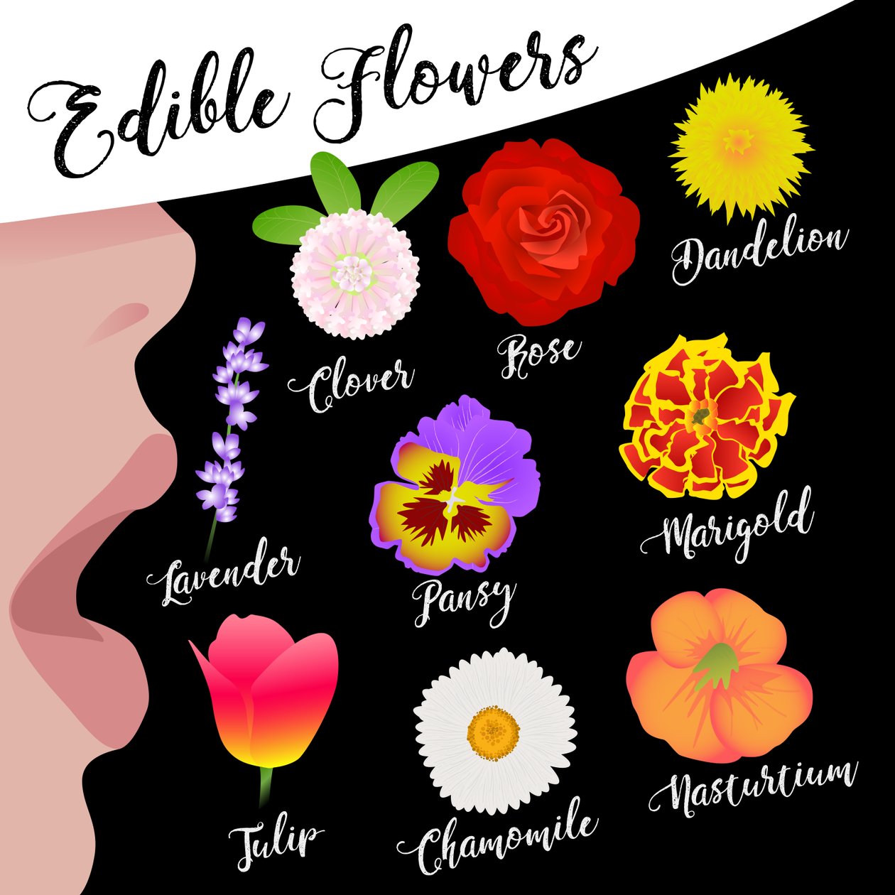 Eetbare Bloemen door Claire Huntley