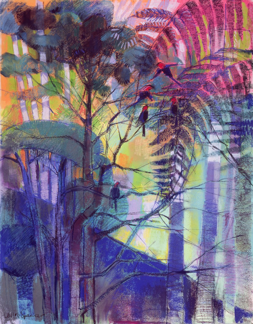 In de Blauwe Bergen door Claire Spencer