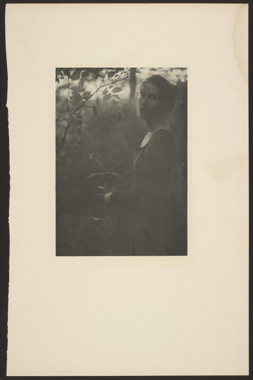 [Edge of the Woods -- Evening]. door Clarence H. White