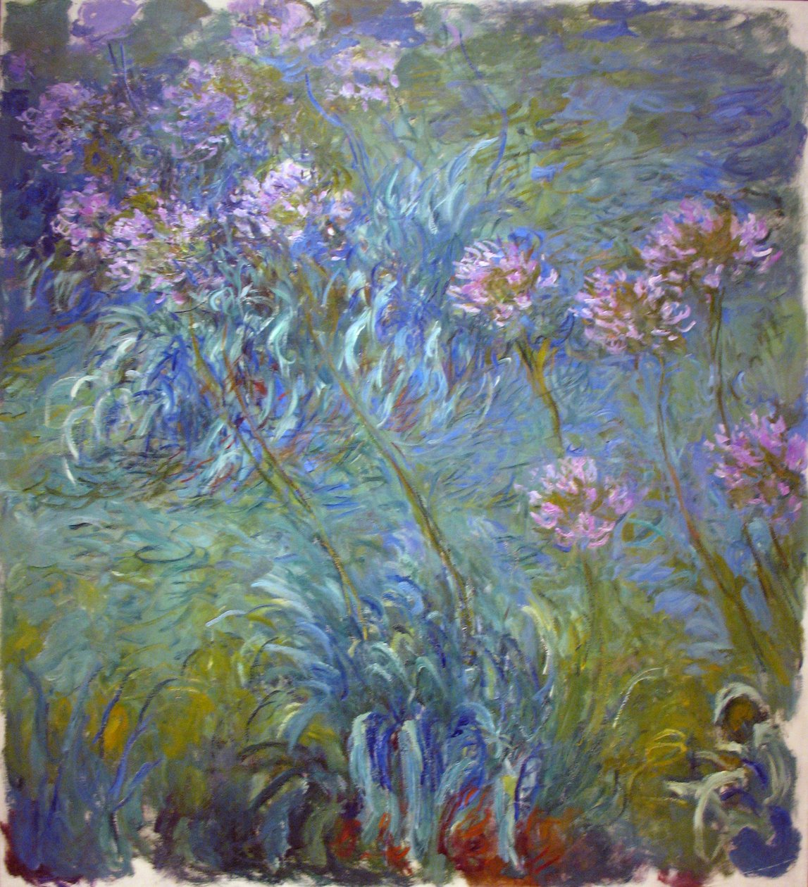 Agapanthus door Claude Monet