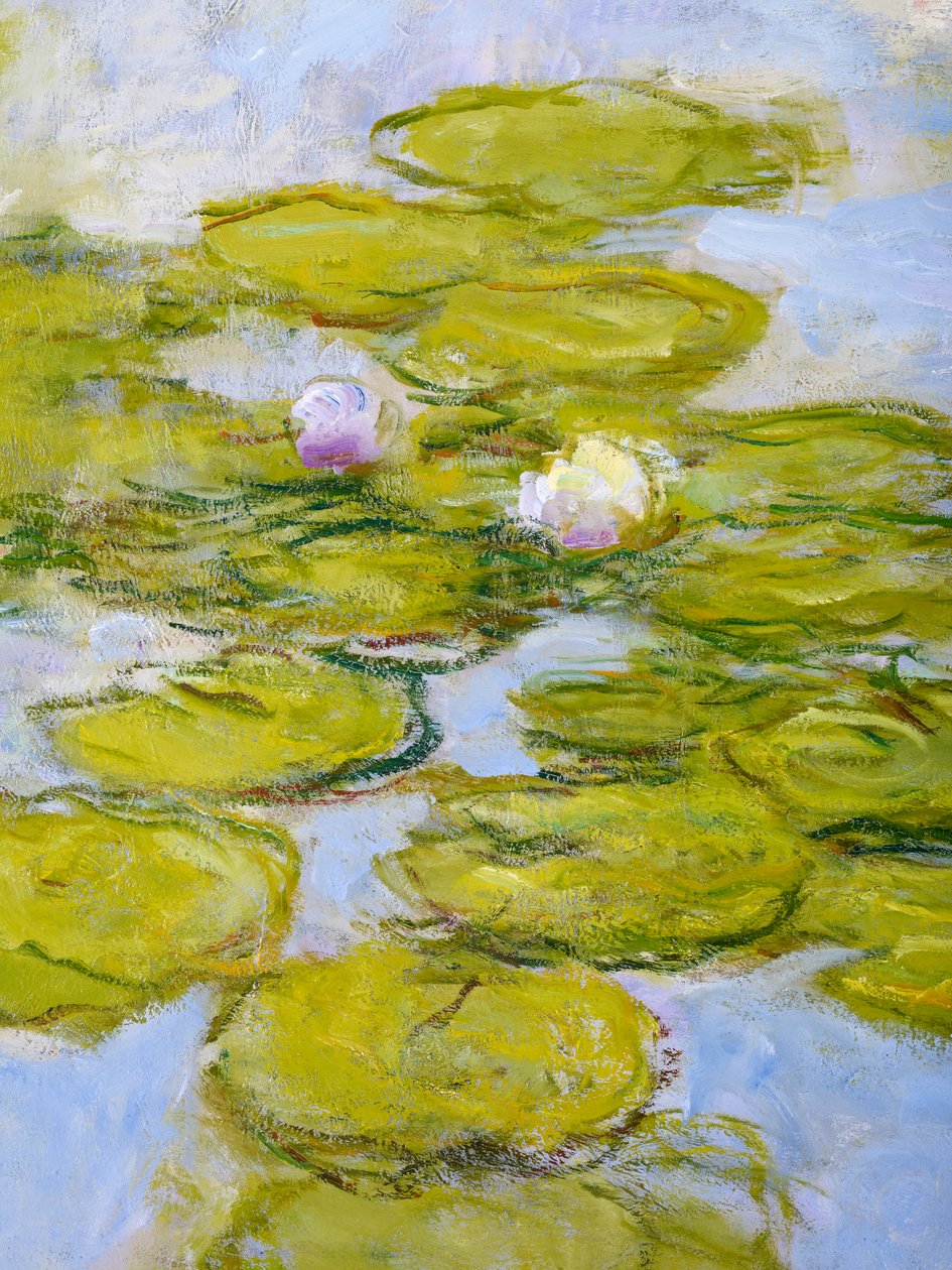 Nymphaea, 1916-19 (detail) door Claude Monet