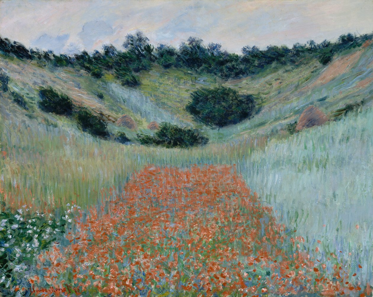 Klaprozenveld in een Holte bij Giverny door Claude Monet
