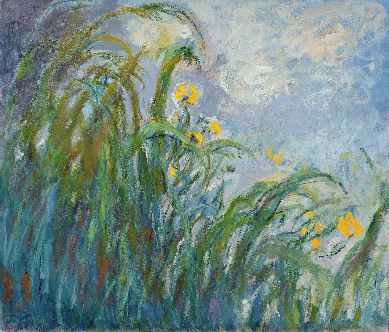 De gele iris door Claude Monet