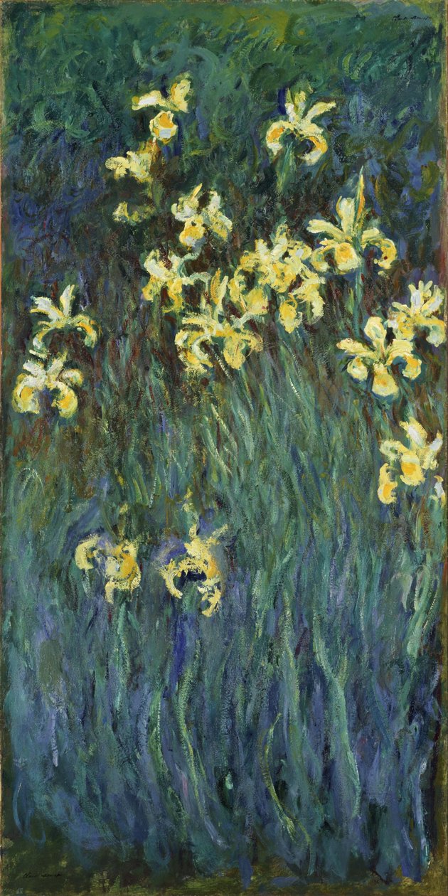 Gele Irissen door Claude Monet