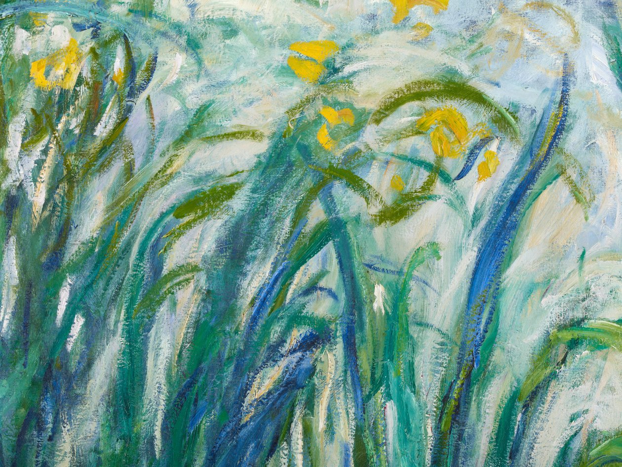 Gele en Paarse Irissen (detail) door Claude Monet