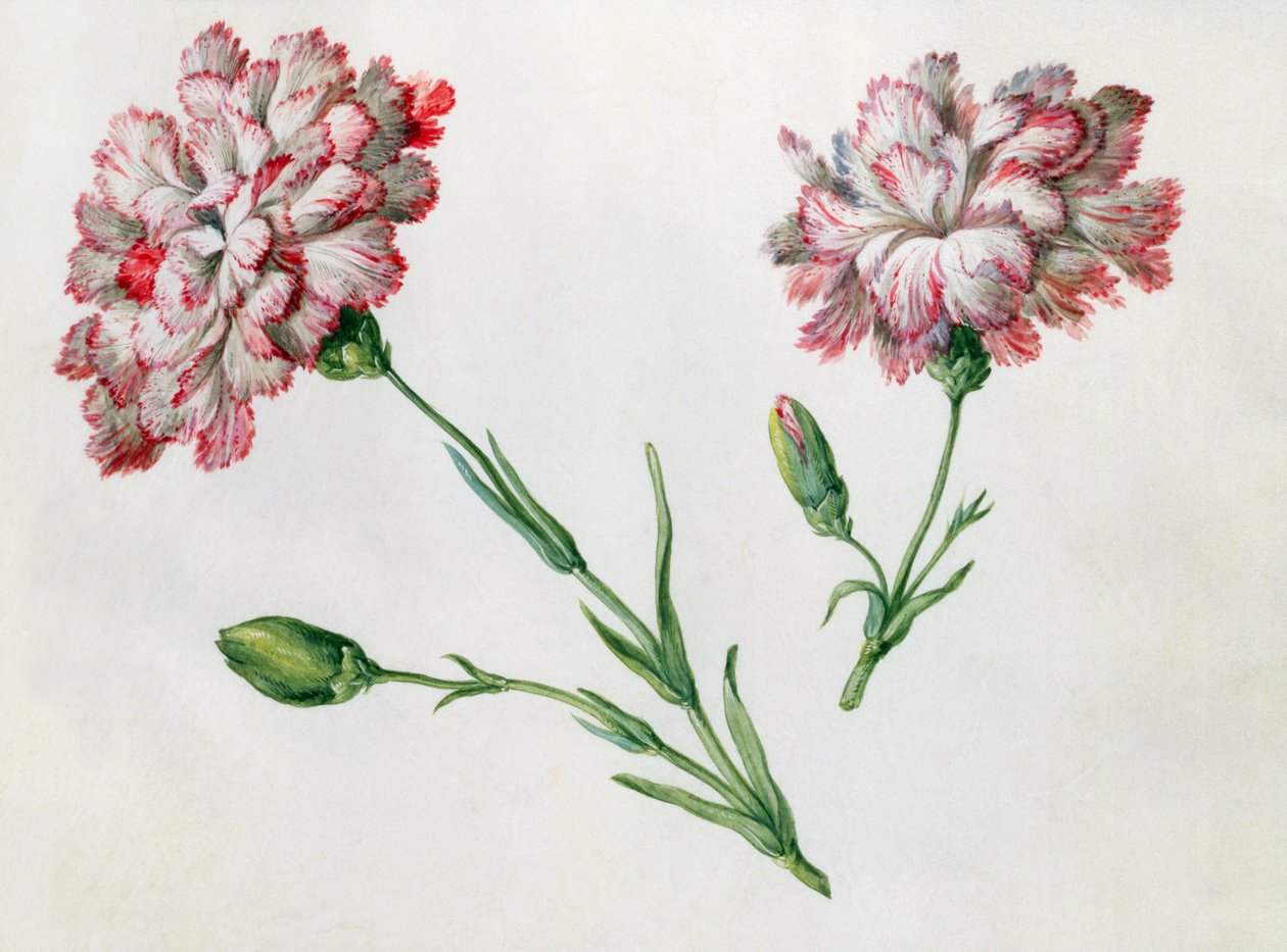 Anjers door Claude Aubriet