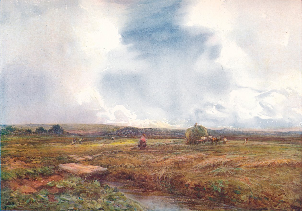 Het hooiveld, 1872-1906, 1906 door Claude Hayes