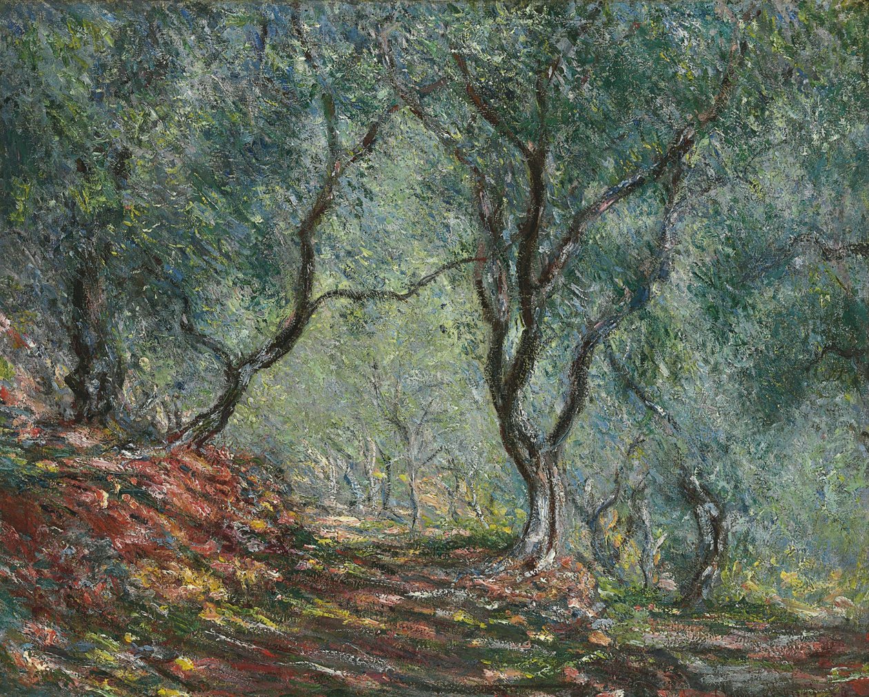 Olijfbomen in de tuin Moreno, 1884 door Claude Monet
