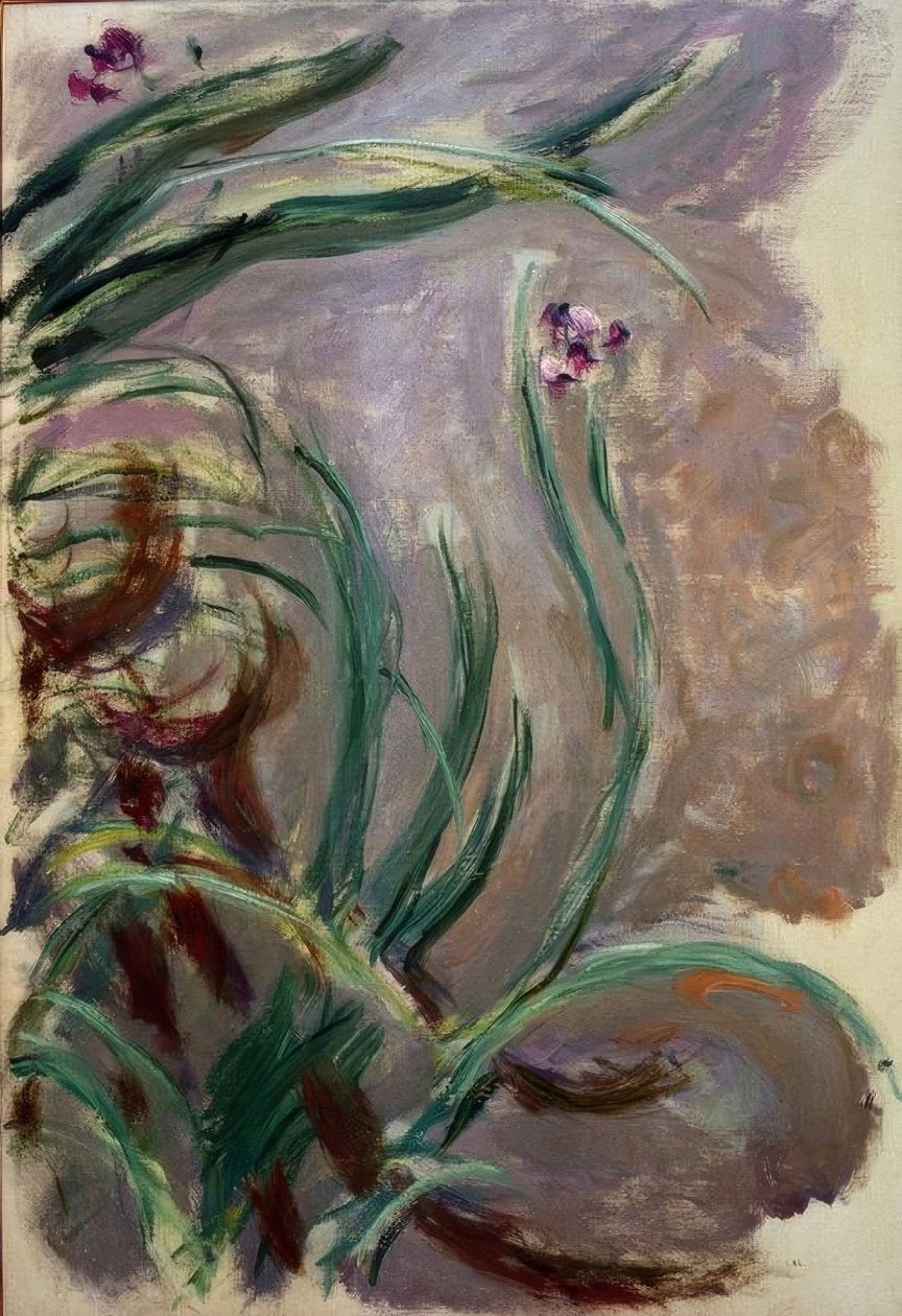 Iris door Claude Monet