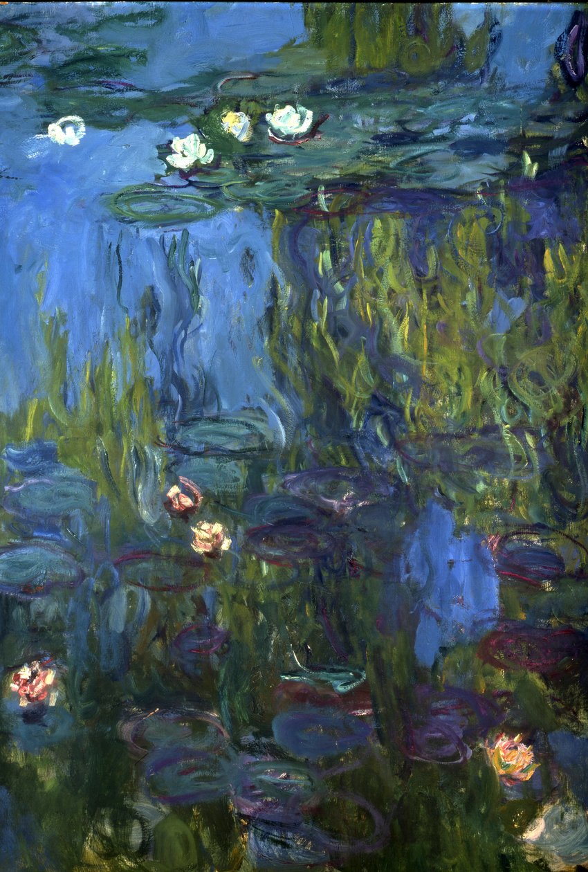 Nymphaea, 1914-17 door Claude Monet