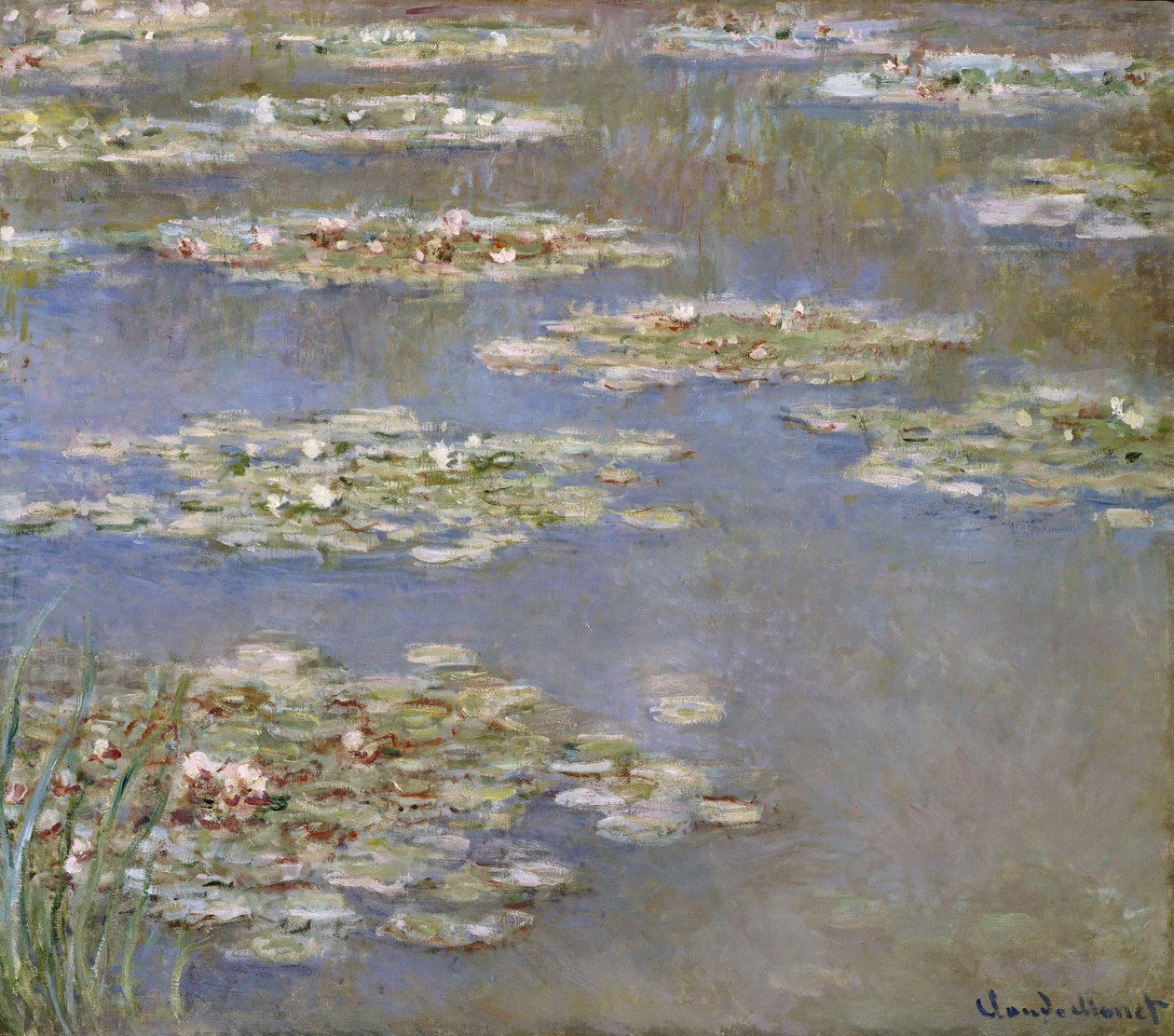 Nymphaea door Claude Monet