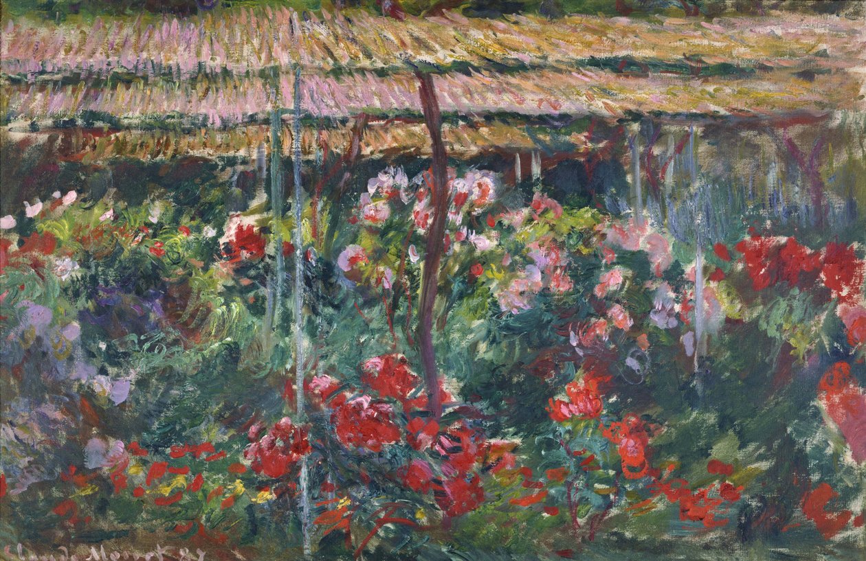 Pioenrozentuin, 1887 door Claude Monet