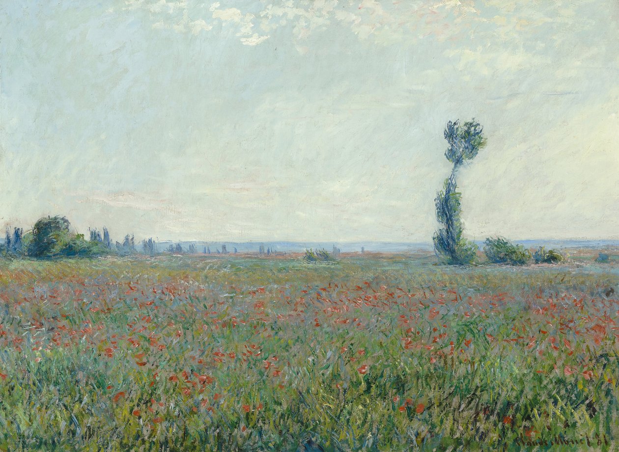 Klaprozenveld door Claude Monet