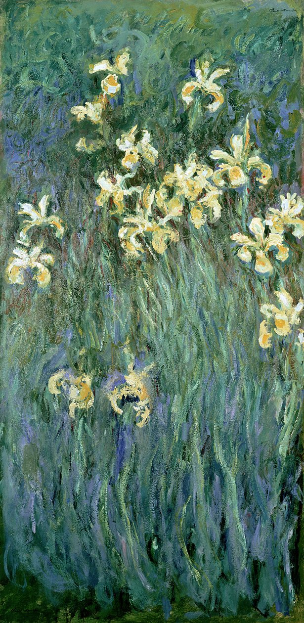 De gele irissen door Claude Monet