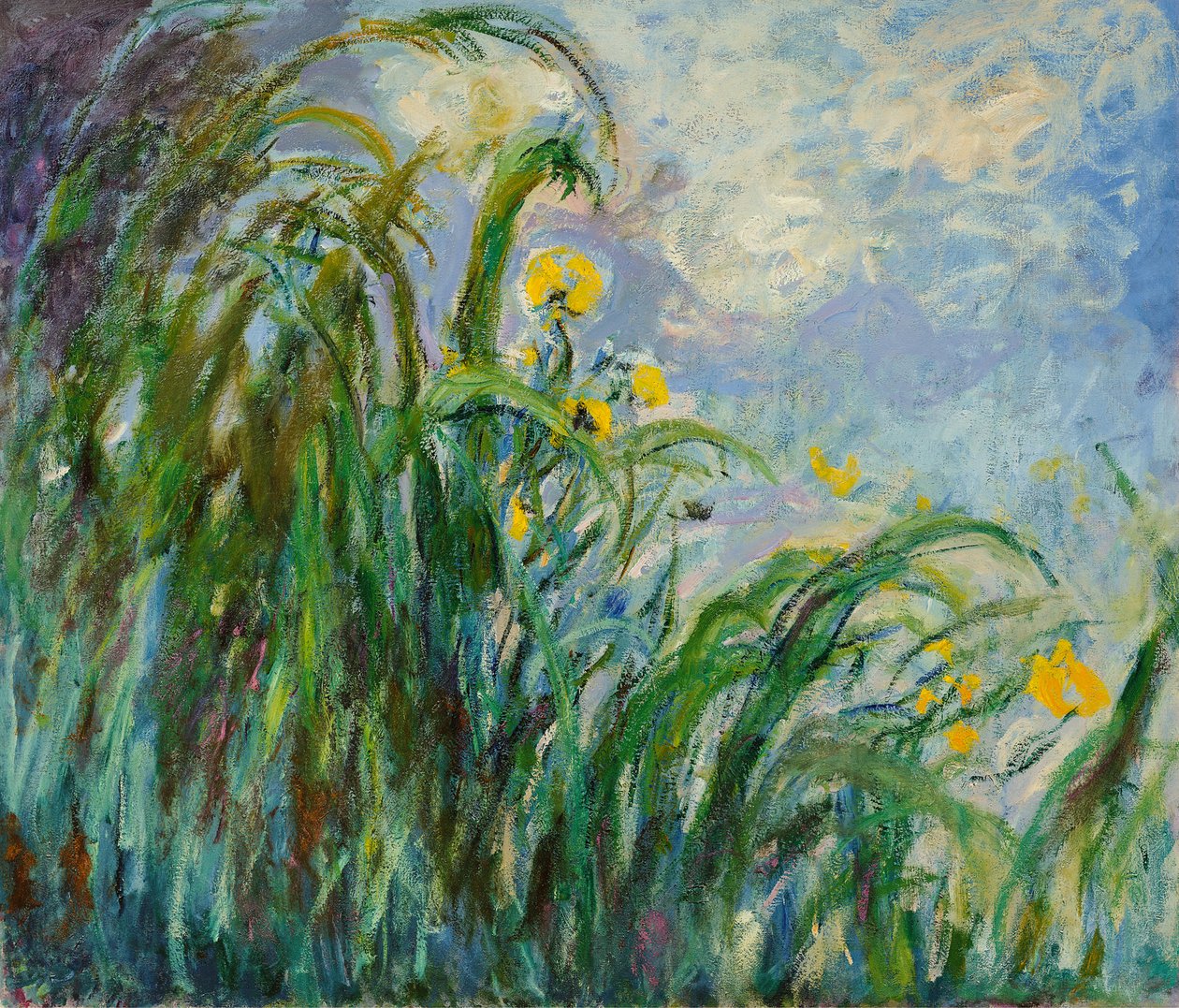 Gele irissen, c. 1925 door Claude Monet