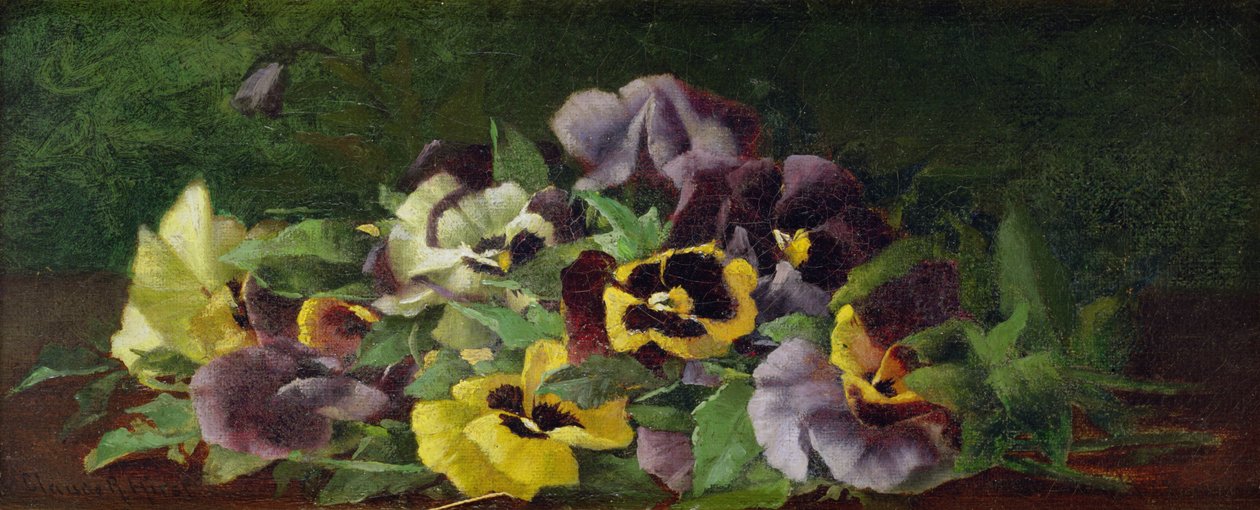 Viooltjes (olieverf op doek) door Claude Raguet Hirst