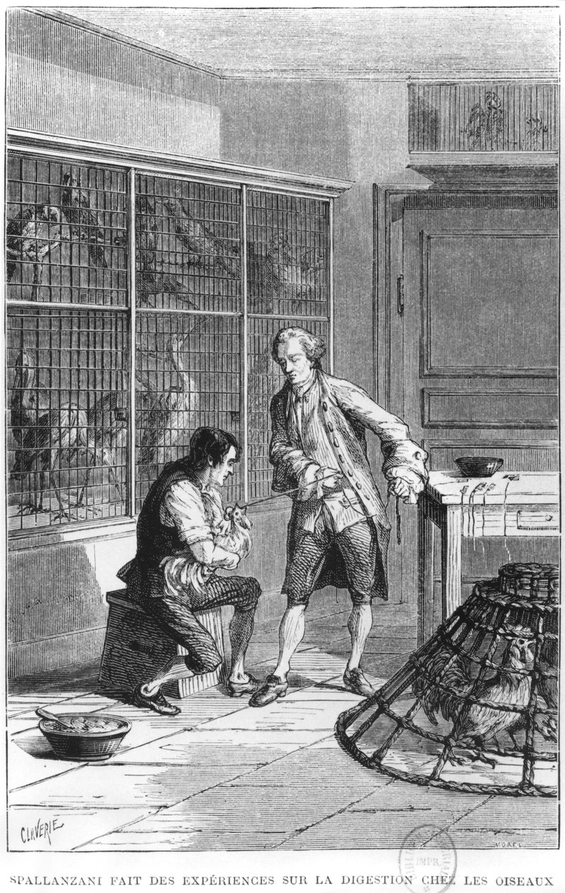 Abt Lazzaro Spallanzani (1729-99) onderzoekt de fysiologie van de spijsvertering bij vogels, illustratie uit 