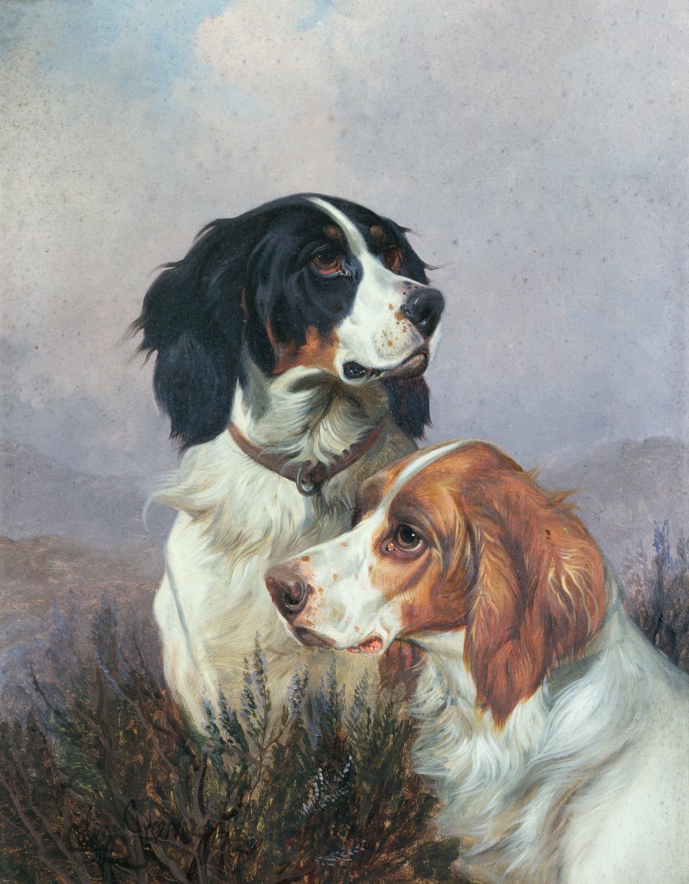 Setters op een heide, 1892 door Colin Graeme
