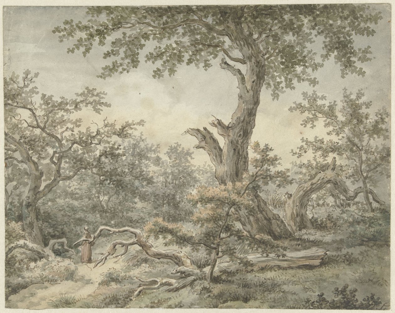 Boslandschap door Cornelis Buys