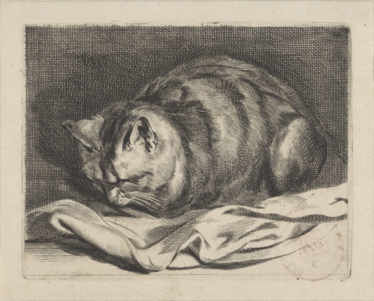 Kleine kat door Cornelis Visscher (II)