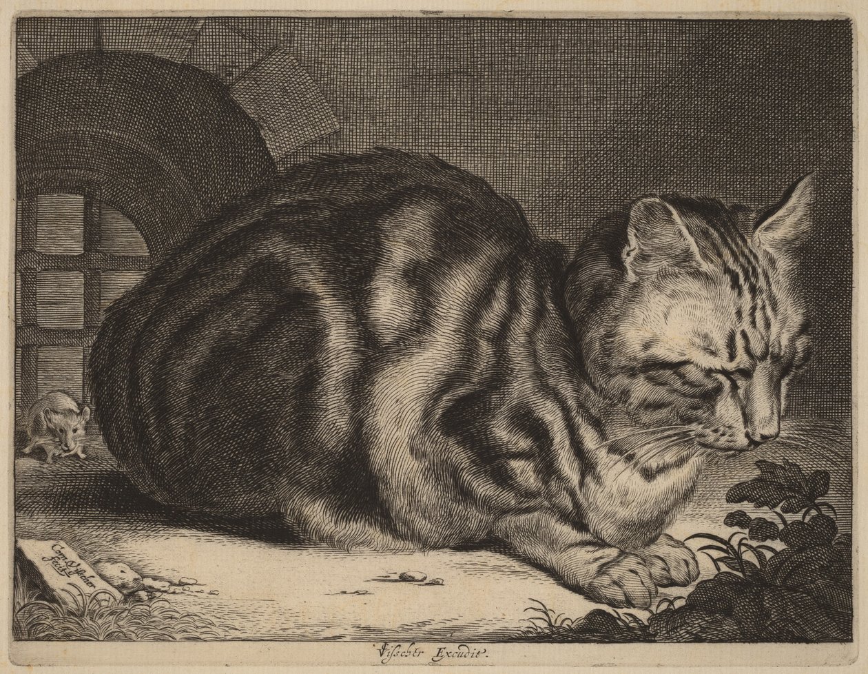 De grote kat door Cornelis Visscher