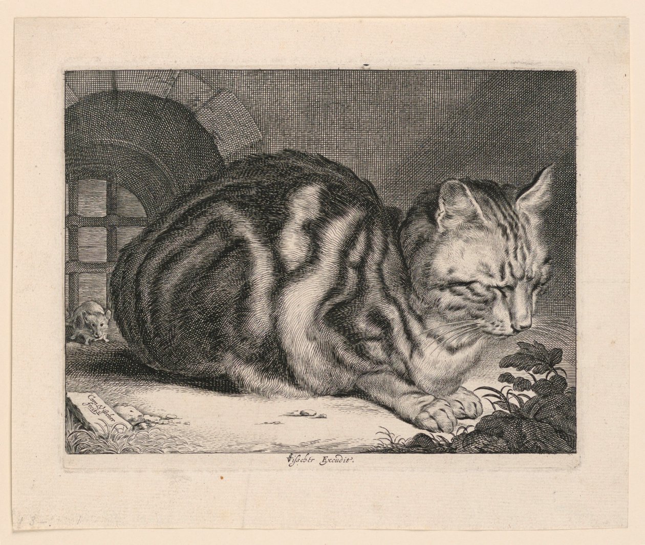 De Grote Kat door Cornelis Visscher
