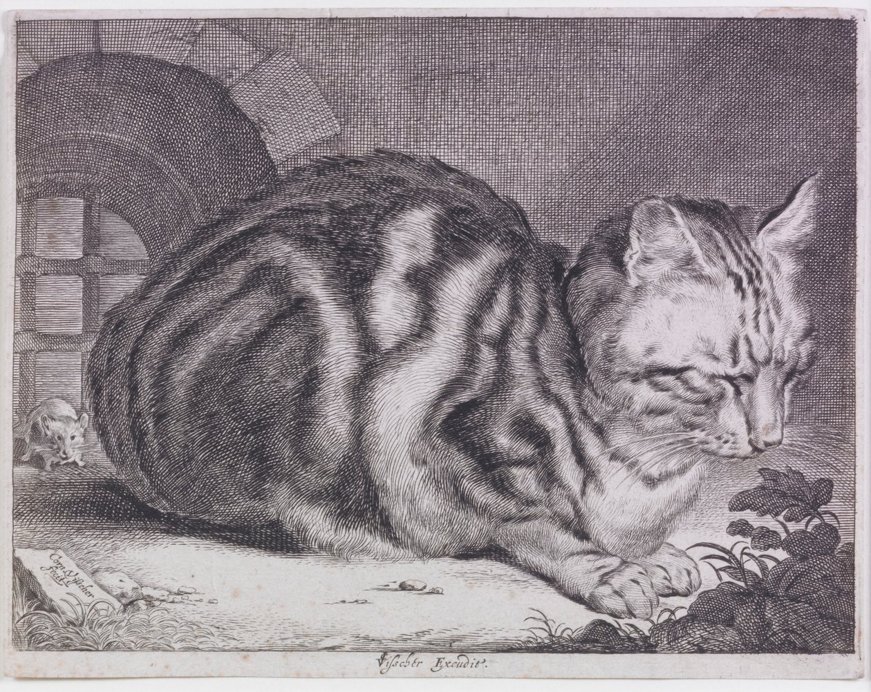 De Grote Kat door Cornelis de Visscher